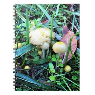 Cute Yellow Mushrooms, Oregon Notitieboek
