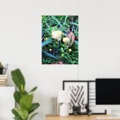 Cute Yellow Mushrooms, Oregon Poster (Thuiskantoor)