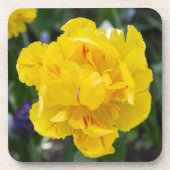 Cute yellow tulips in de tuin bier onderzetter (Voorkant)