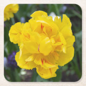 Cute yellow tulips in the garden kartonnen onderzetters (Voorkant)