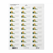 Cute Yellow Wild Oerwoud Animal Lion Kinder Adres Etiket (Full Sheet)