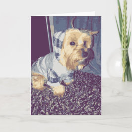 Cute Yorkie Dog Wearing A Plaid Hoodie Puppy Tan Kaart