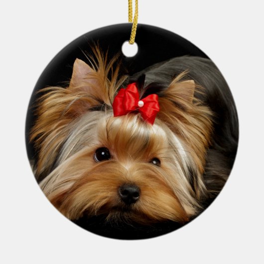 Cute yorkie keramisch ornament (Voorkant)