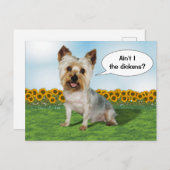 Cute Yorkie met zonnebloemen Briefkaart (Voorkant / Achterkant)