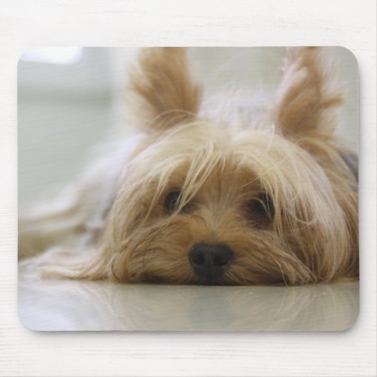 Cute Yorkie Muismat (Voorkant)