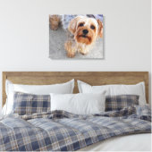 Cute Yorkie Puppy Canvas Afdruk (Insitu (Slaapkamer))
