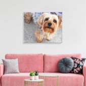 Cute Yorkie Puppy Canvas Afdruk (Insitu (Woonkamer))