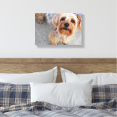 Cute Yorkie Puppy Canvas Afdruk (Insitu (Slaapkamer))