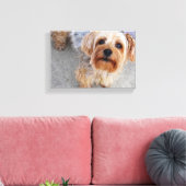 Cute Yorkie Puppy Canvas Afdruk (Insitu (Woonkamer))