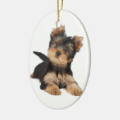 Cute yorkie puppy keramisch ornament (Links)