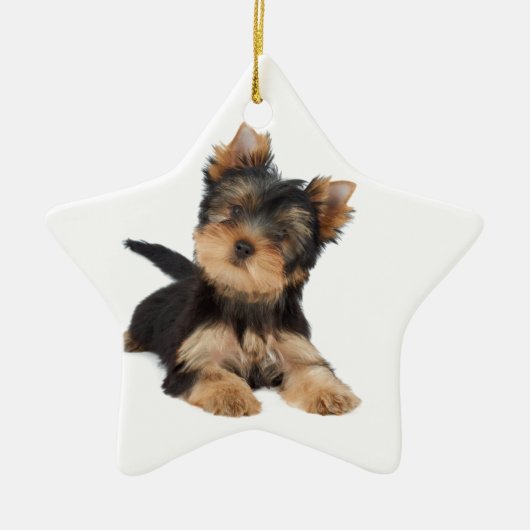 Cute yorkie puppy keramisch ornament (Voorkant)