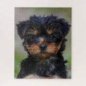 Cute Yorkie Puppy Legpuzzel (Verticaal)