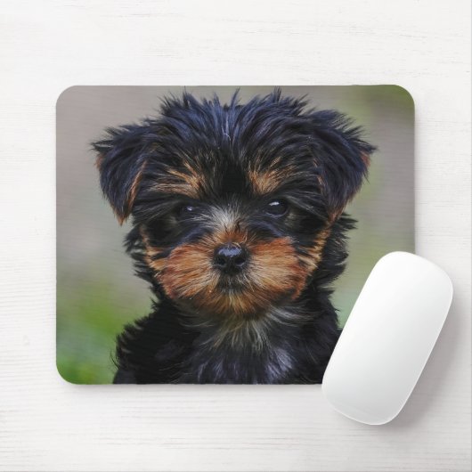 Cute Yorkie Puppy Muismat (Met muis)