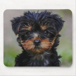 Cute Yorkie Puppy Muismat