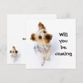 Cute Yorkie Puppy Yorkshire Terrier Party Kaart (Voorkant / Achterkant)