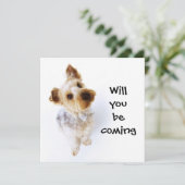 Cute Yorkie Puppy Yorkshire Terrier Party Kaart (Staand voorkant)