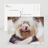 Cute Yorkie Terrier Briefkaart (Voorkant / Achterkant)