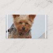 Cute Yorkie Visitekaartje (Achterkant)
