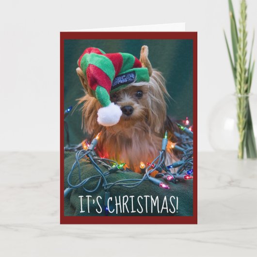 Cute Yorkie Wearing Elf Pet Feestdagen Kaart (Voorkant)