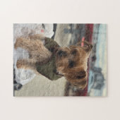 Cute Yorkie / Westie at the Cider Mill Legpuzzel (Horizontaal)