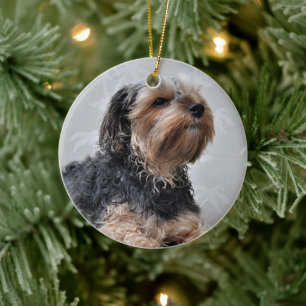 Cute Yorkie Yorkshire Terrier Sunbathing Keramisch Ornament