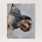 Cute Yorkie Yorkshire Terrier Sunbathing Legpuzzel (Verticaal)