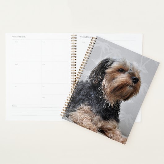 Cute Yorkie Yorkshire Terrier Sunbathing  Planner (Display)