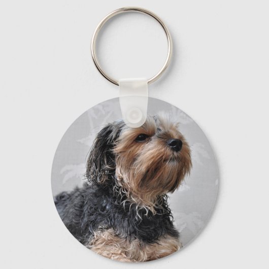 Cute Yorkie Yorkshire Terrier Sunbathing Sleutelhanger (Voorkant)