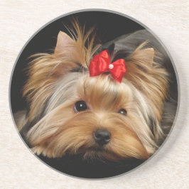 Cute yorkie zandsteen onderzetter
