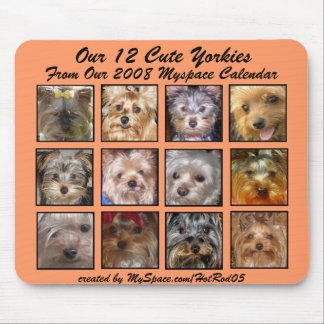 CUTE YORKIES 2008 CALENDAR (mousepad) APRICOT Muismat