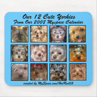 CUTE YORKIES 2008 CALENDAR (op een mousepad) Muismat