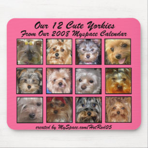CUTE YORKIES 2008 CALENDAR (op een mousepad) PINK Muismat