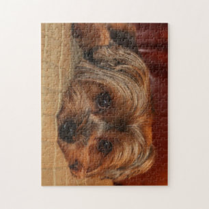Cute Yorkshire doodshond, Yorkie Legpuzzel