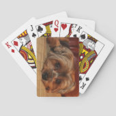 Cute Yorkshire doodshond Yorkie Puppy Pokerkaarten (Achterkant)