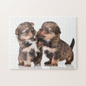 Cute Yorkshire Puppies Legpuzzel (Horizontaal)