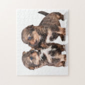 Cute Yorkshire Puppies Legpuzzel (Verticaal)