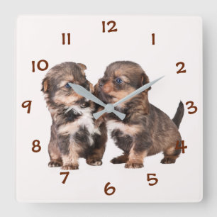 Cute Yorkshire Puppies Vierkante Klok