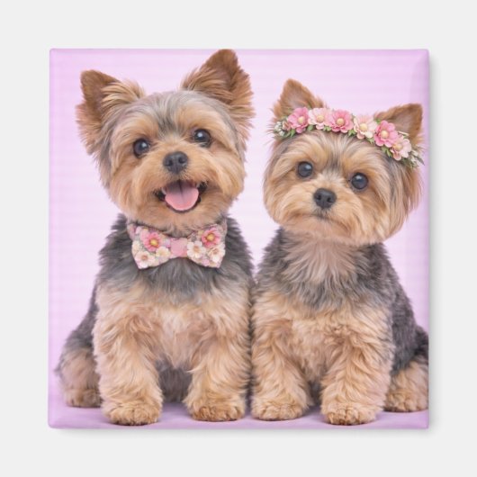 Cute Yorkshire Terrier Couple Valentine Magnet (Voorkant)