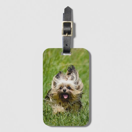Cute Yorkshire Terrier die door Grass loopt Bagagelabel (Voorkant (verticaal))