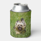 Cute Yorkshire Terrier die door Grass loopt Blikjeskoeler (Blikje Voorkant)