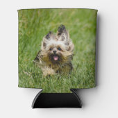 Cute Yorkshire Terrier die door Grass loopt Blikjeskoeler (Voorkant)