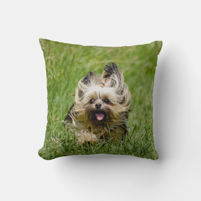 Cute Yorkshire Terrier die door Grass loopt Kussen (Voorkant)