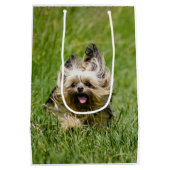 Cute Yorkshire Terrier die door Grass loopt Medium Cadeauzakje (Achterkant)