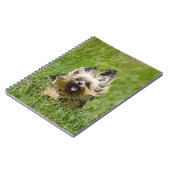 Cute Yorkshire Terrier die door Grass loopt Notitieboek (Linkerzijde)