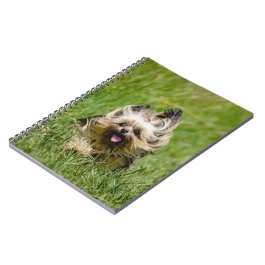 Cute Yorkshire Terrier die door Grass loopt Notitieboek (Linkerzijde)