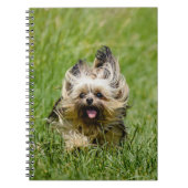 Cute Yorkshire Terrier die door Grass loopt Notitieboek (Voorkant)