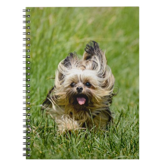 Cute Yorkshire Terrier die door Grass loopt Notitieboek (Voorkant)