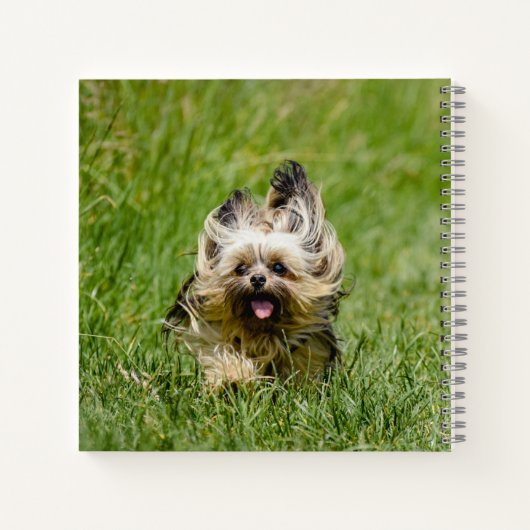 Cute Yorkshire Terrier die door Grass loopt Notitieboek (Achterkant)