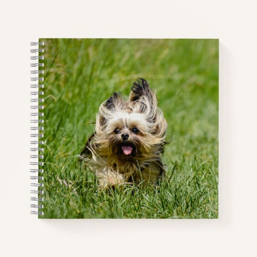 Cute Yorkshire Terrier die door Grass loopt Notitieboek (Voorkant)