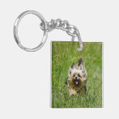 Cute Yorkshire Terrier die door Grass loopt Sleutelhanger (Voorkant Links)